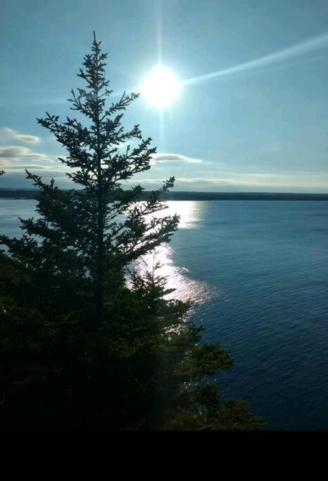 Family Friendly Cottage ☆Walking Distance To Beach Lions Head Exterior foto