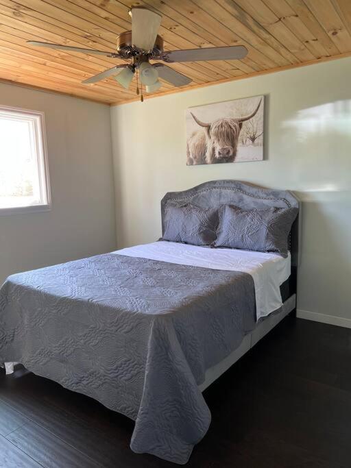 Family Friendly Cottage ☆Walking Distance To Beach Lions Head Exterior foto